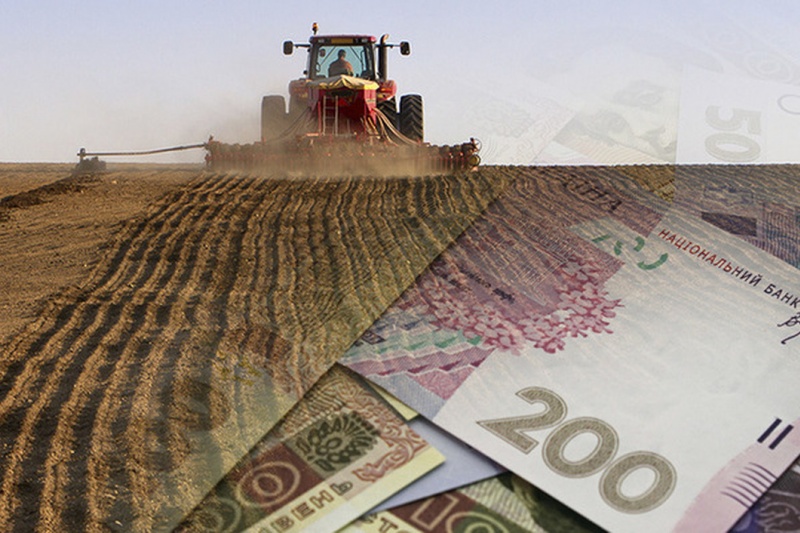 Сумские аграрии отправились в ОАЭ за инвестициями и опытом