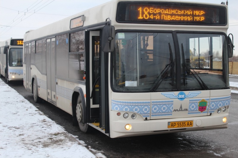 В запорожском автобусе пассажиры защитили водителя от нападок мовного активиста