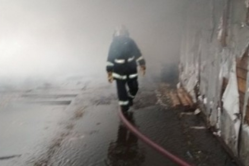 В Полтавской области сгорела ферма со свиньями