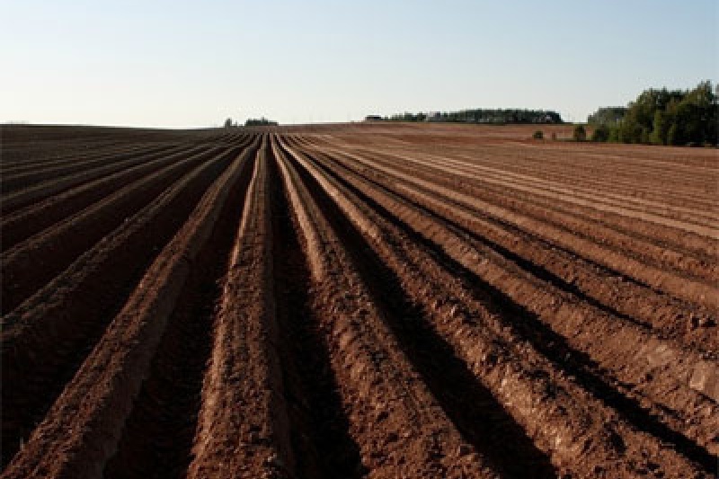 Громады Днепропетровщины получили в собственность больше всего сельхозугодий в Украине