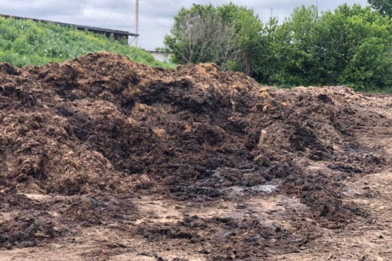 Невыносимая вонь и загрязненные земли: под Днепром арестовали директора агропредприятия