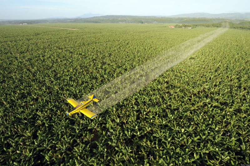 На Сумщине незаконно использовали пестициды