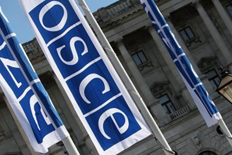 Миссия ОБСЕ возьмет под контроль Запорожскую область