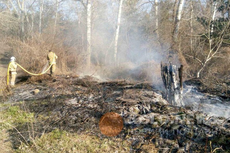 Полтавщина палає: рятувальники 34 рази виїжджали на пожежі сухої рослинності