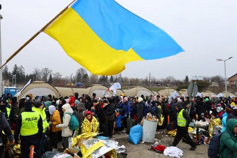 Польша оптом сдаёт Украине беженцев призывного возраста