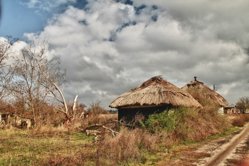 Вымирающее село на Сумщине заселят нуждающимися?