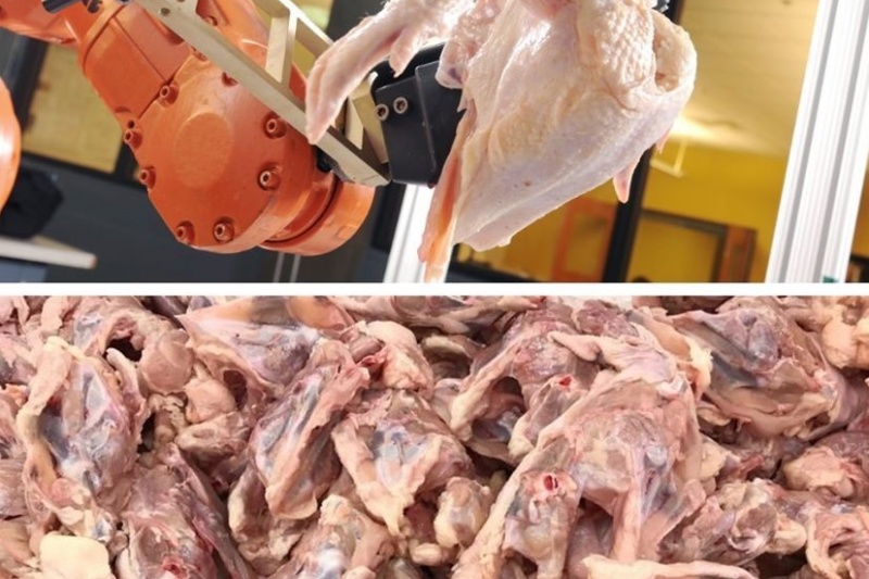 На Днепропетровщину попала опасная курятина из Польши