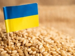 Польша, Венгрия, Болгария и Словакия продлевают запрет на вывоз украинского зерна. За что воюем, панове?