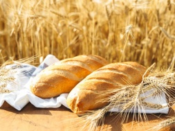 В Украине – перепроизводство зерна, а цены на муку и хлеб растут опережающими темпами